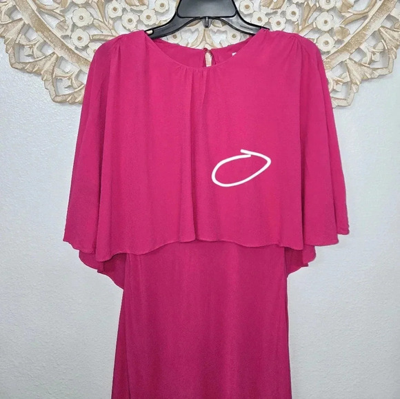 Zara Flowy Cape Sleeve Dress - Picture 10 of 11